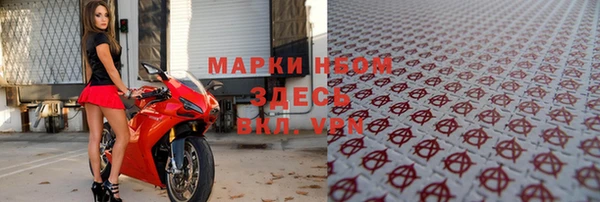 сатива Белоозёрский