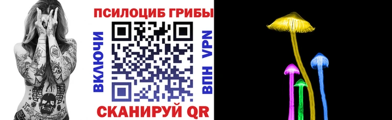 цена наркотик  Окуловка  Псилоцибиновые грибы MAGIC MUSHROOMS 